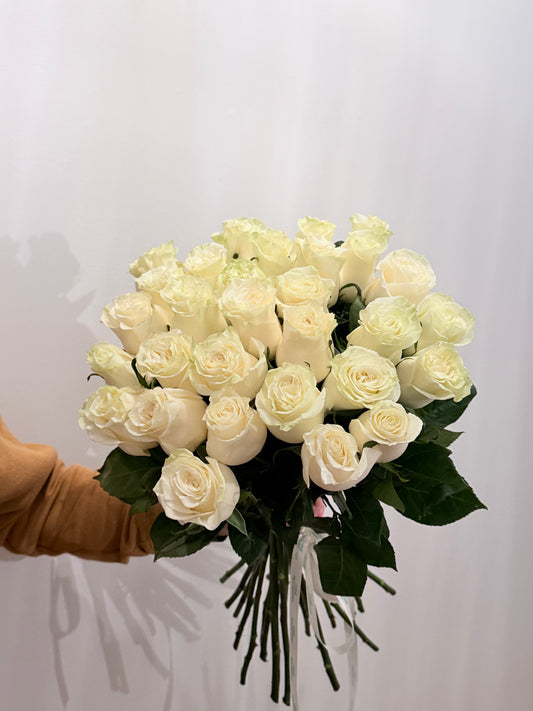 Moonlight  Roses