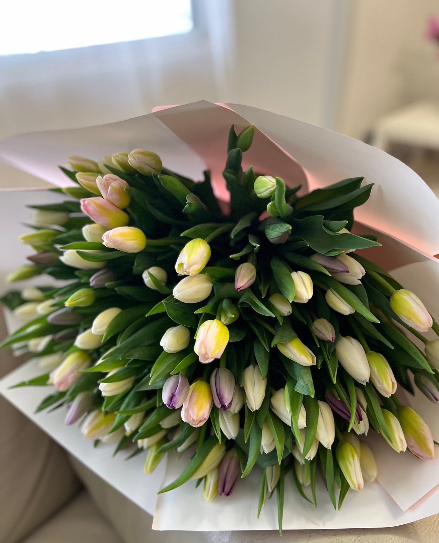101 Pastel Tulip Mix