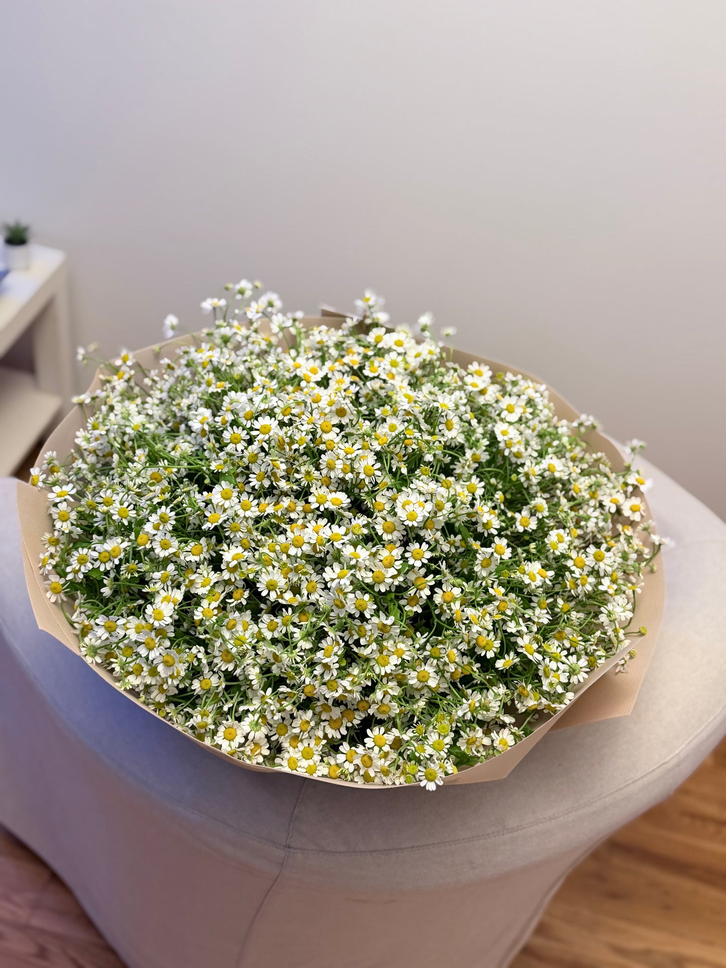 Chamomile Daisy Bouquet