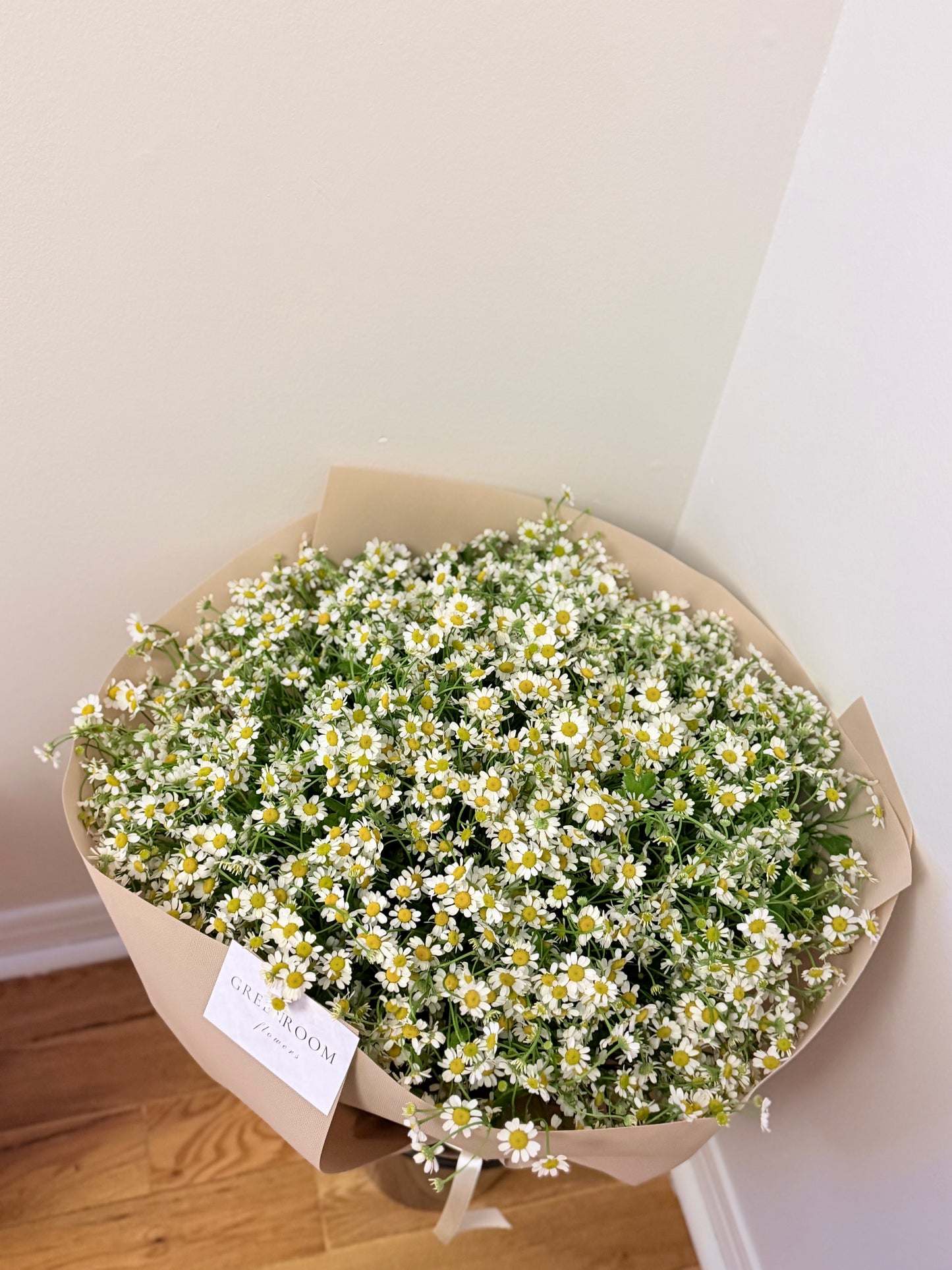 Chamomile Daisy Bouquet